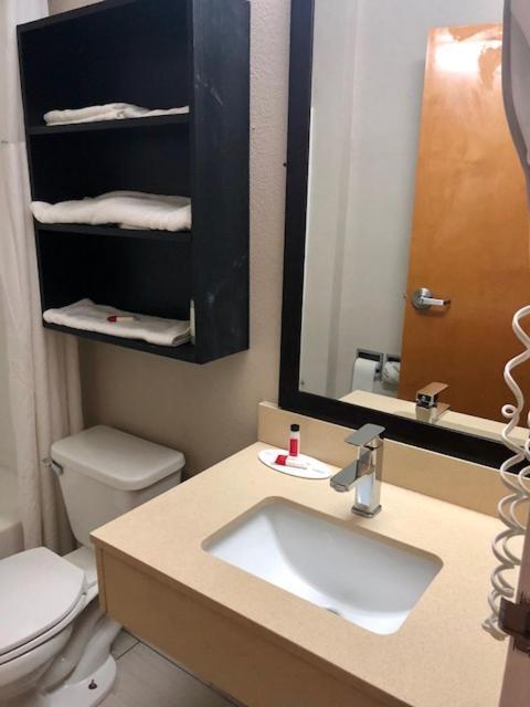 Microtel Inn By Wyndham - Murfreesboro Eksteriør billede